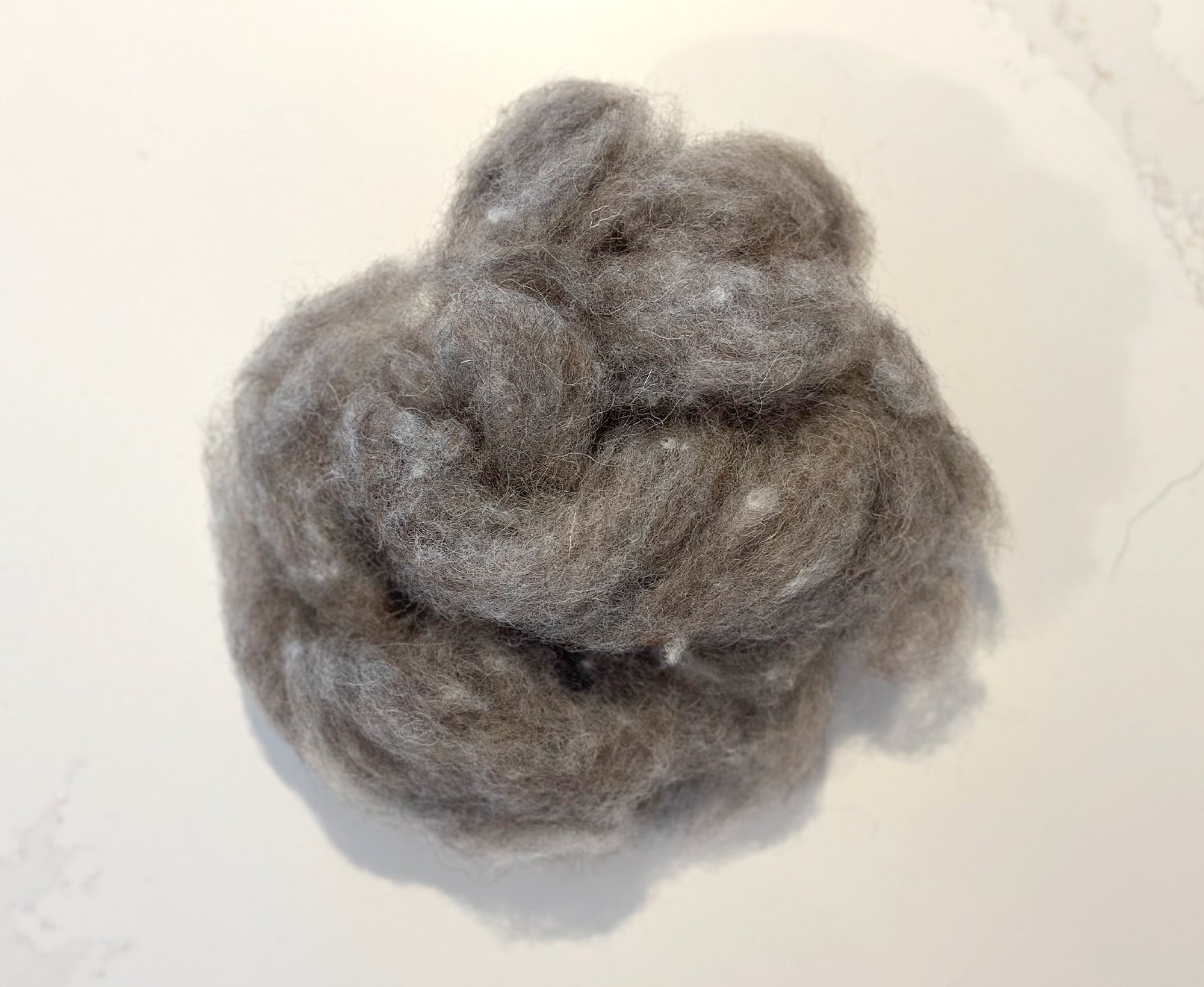 Limited Edtion | Blue Faced Leicester & Alpaca Loose Carded Wool